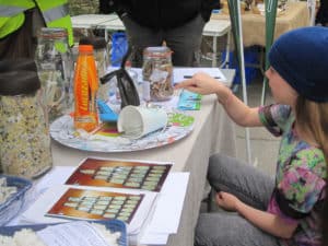 The Fag Butt Challenge at Worth Matravers Fête 29th May 2017.