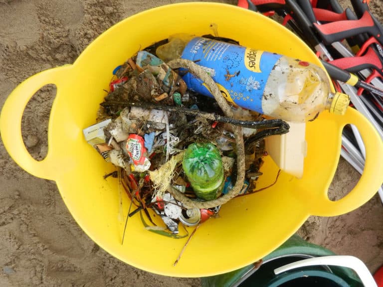 Just some of the litter collected on Swanage Beach.