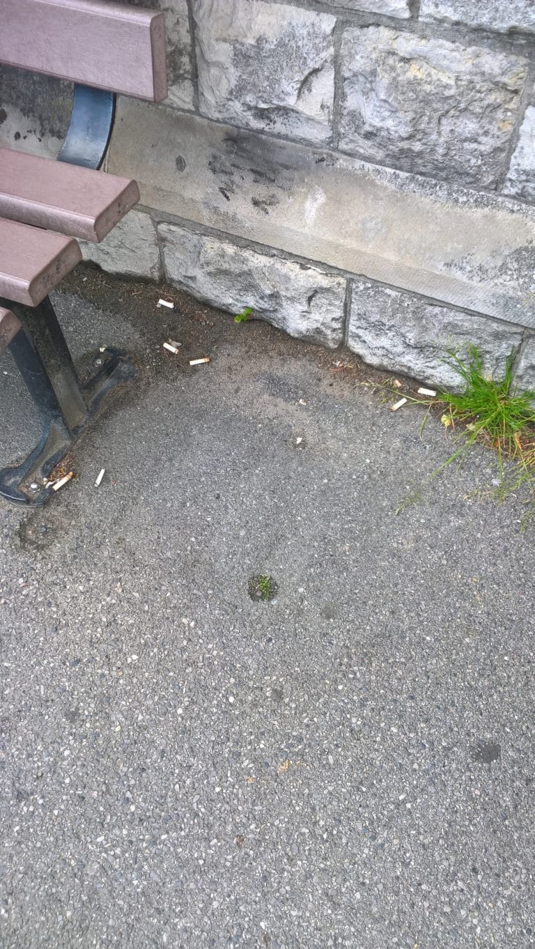 Butts by a bench at the station - Blitz The Butts Swanage 18th May 2019