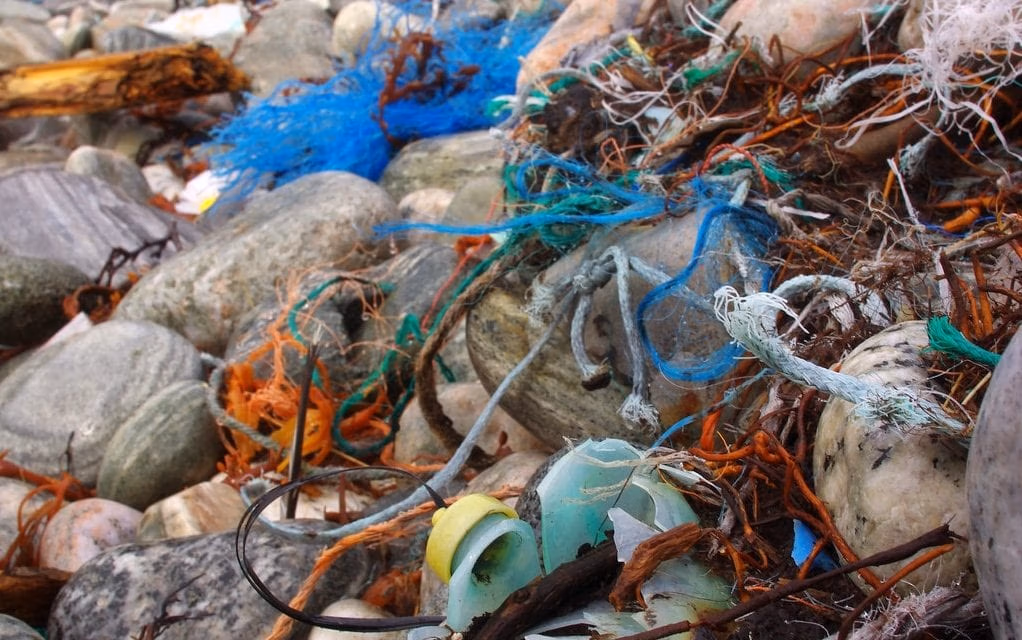 lead 3 marine litter 1022x640